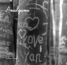 Amalgame book cover