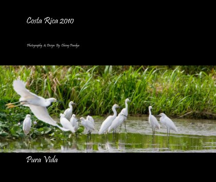 Costa Rica 2010 book cover