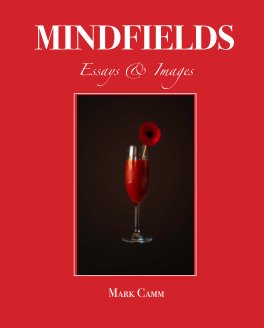 Mindfields book cover