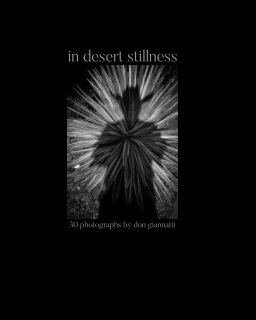 In Desert Stillness (softcover) book cover
