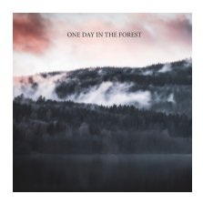 One day in the forest book cover