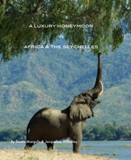 a luxury honeymoon in africa & the seychelles book cover