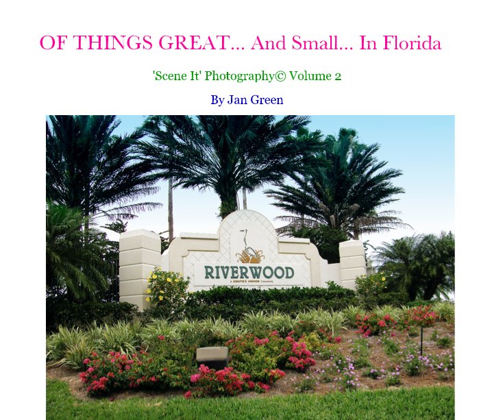 View OF THINGS GREAT... And Small... In Florida by Jan Green