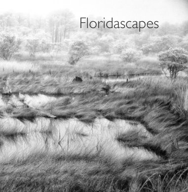 Floridascapes book cover