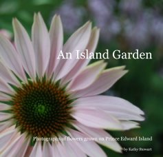 An Island Garden book cover