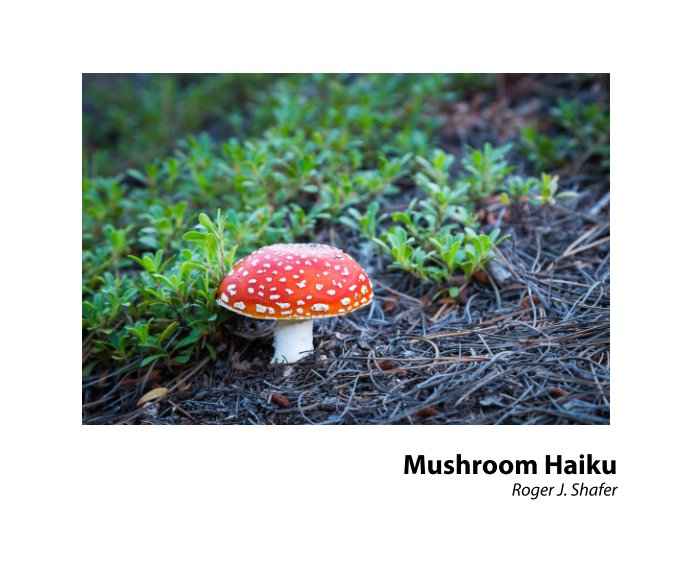 Mushroom Haiku nach Roger J. Shafer anzeigen