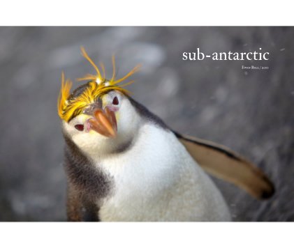 sub-antarctic book cover