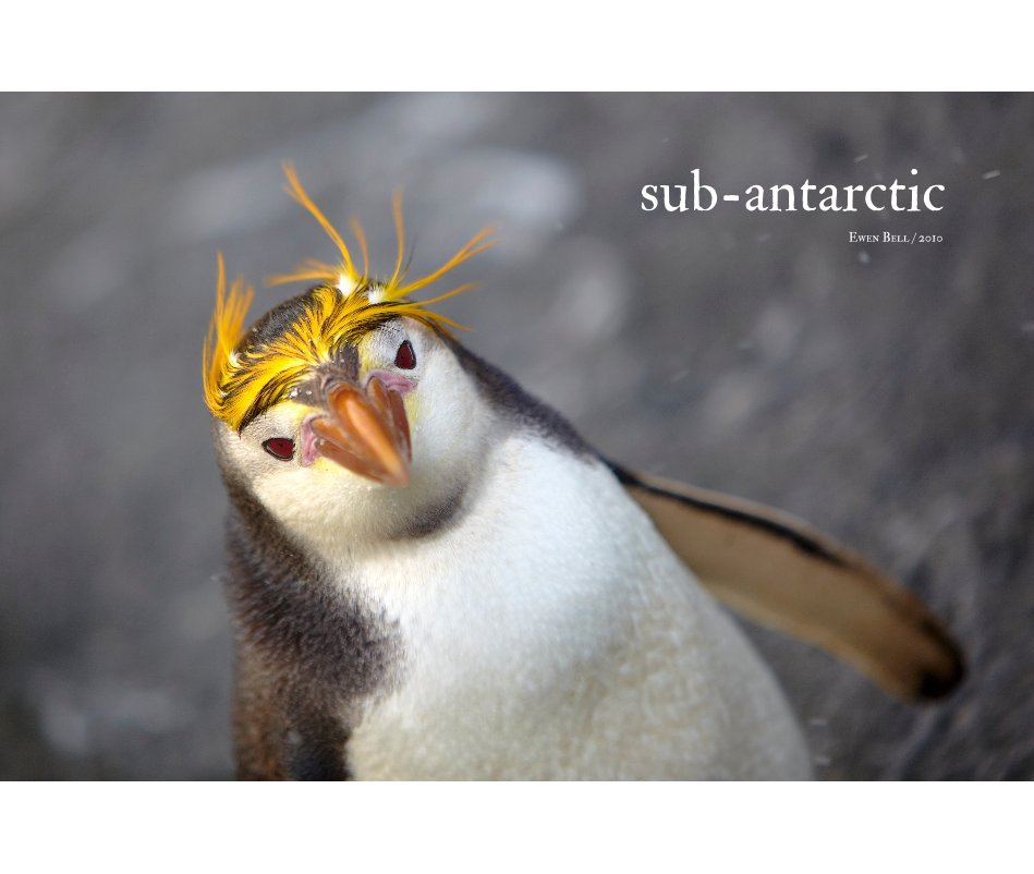sub-antarctic nach Ewen Bell anzeigen