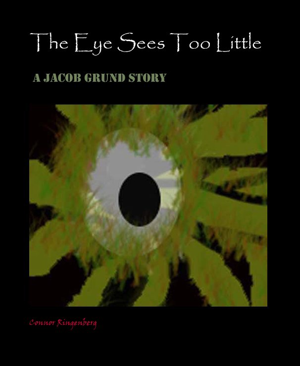 View The Eye Sees Too Little by Connor Ringenberg