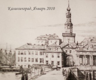 Калининград. Январь 2010 book cover