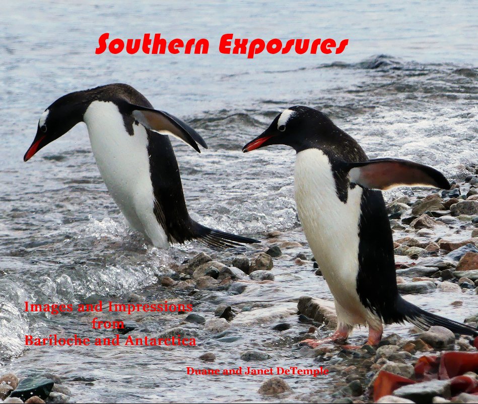 View Southern Exposures by Duane and Janet DeTemple