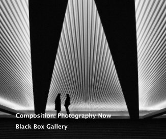 Composition: Photography Now book cover