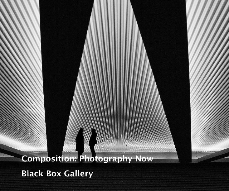 View Composition: Photography Now by Black Box Gallery