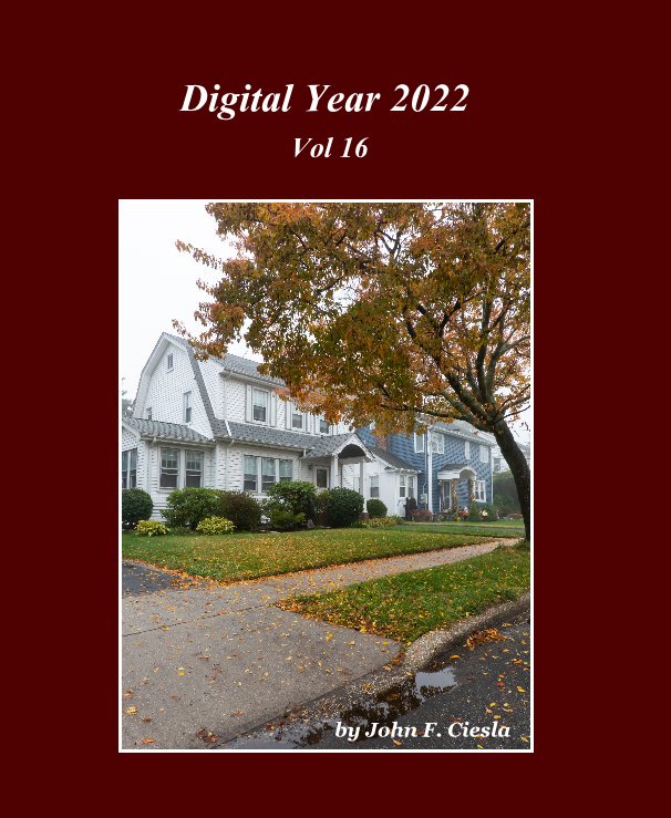 View Digital Year 2022 Vol 16 by John F. Ciesla