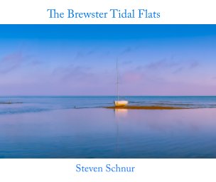 The Brewster Tidal Flats book cover