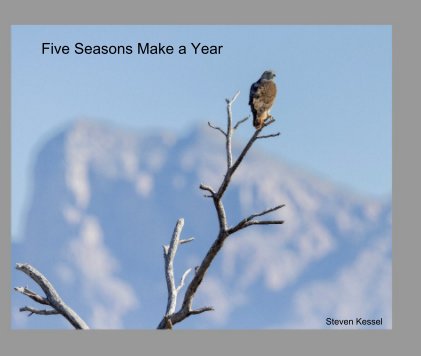 Five Seasons Make a Year book cover