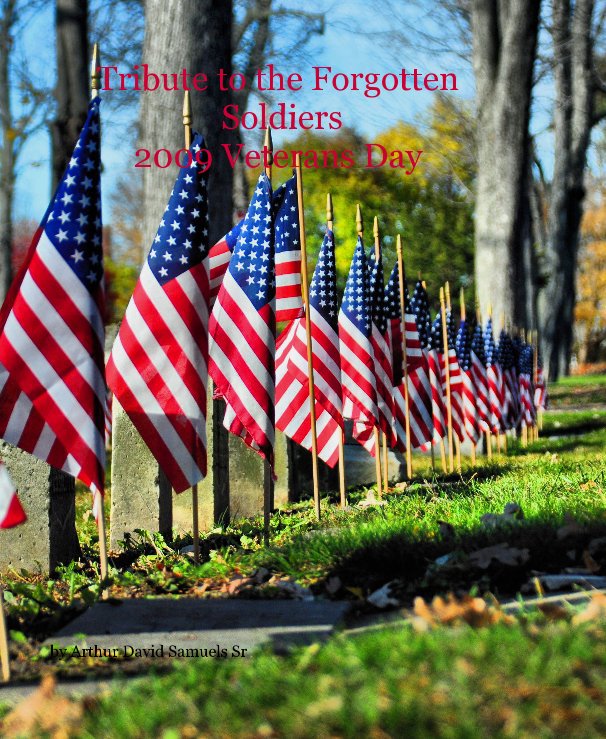 View Tribute to the Forgotten Soldiers 2009 Veterans Day by Arthur David Samuels Sr