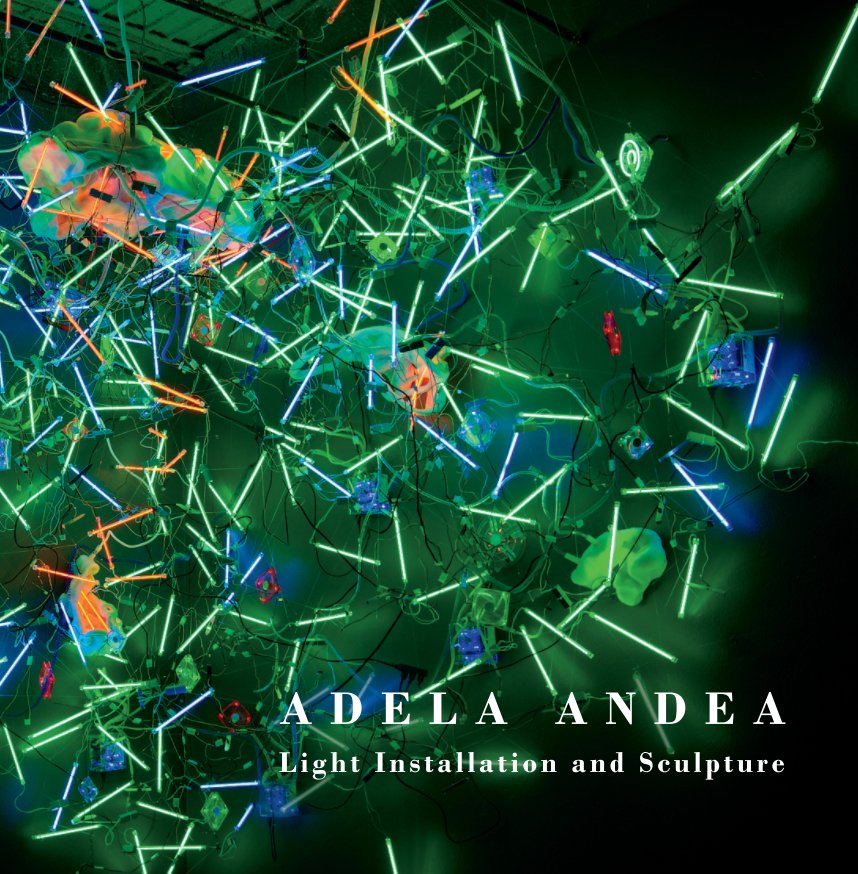 View Adela Andea - Light Installation and Sculpture by Adela Andea