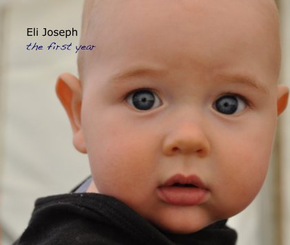 Eli Joseph the first year book cover