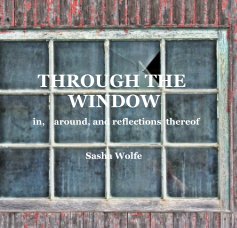 THROUGH THE WINDOW book cover
