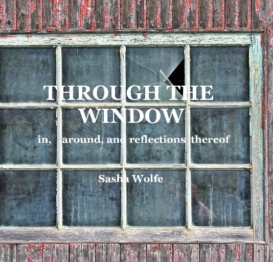 View THROUGH THE WINDOW by Sasha Wolfe