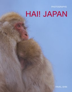 Hai! JAPAN book cover