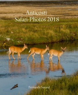 Anticosti Safari-Photos 2018 book cover