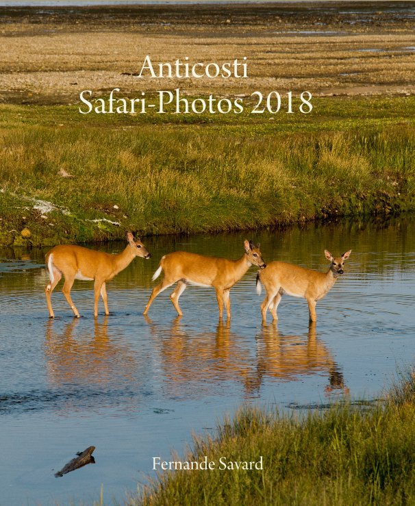 View Anticosti Safari-Photos 2018 by Fernande Savard