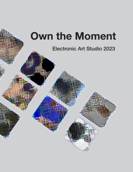 Own the Moment book cover
