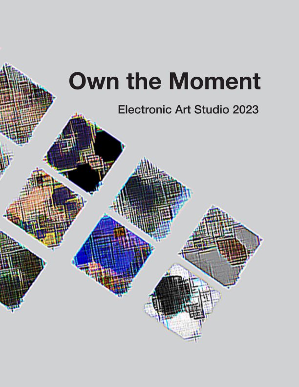View Own the Moment by Elmira College Students