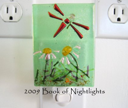 2009 Book of Nightlights book cover