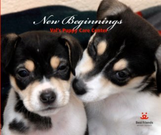 New Beginnings: Val's Puppy Care Center book cover