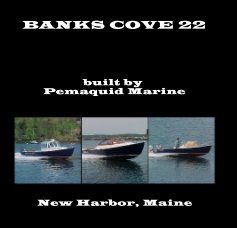 BANKS COVE 22 book cover