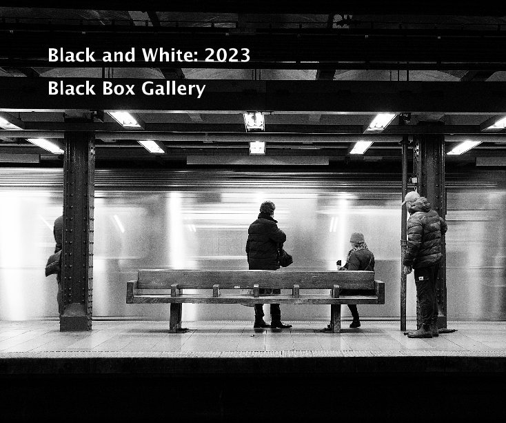 View Black and White: 2023 by Black Box Gallery