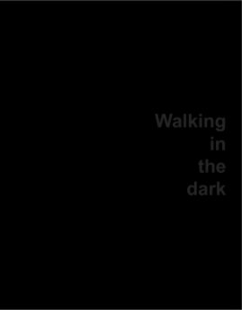 Walking in the dark book cover