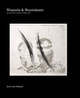 Waanzin en Stoornissen, een serie etsen, aquatint en droge naald book cover