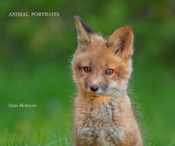 View Animal Portraits by Hans Blokpoel