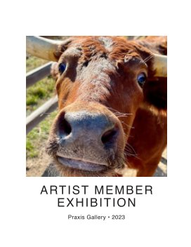 Artist Member Exhibition 2023 book cover