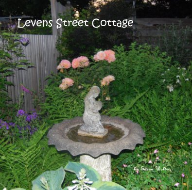 Levens Street Cottage book cover