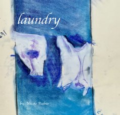 laundry book cover