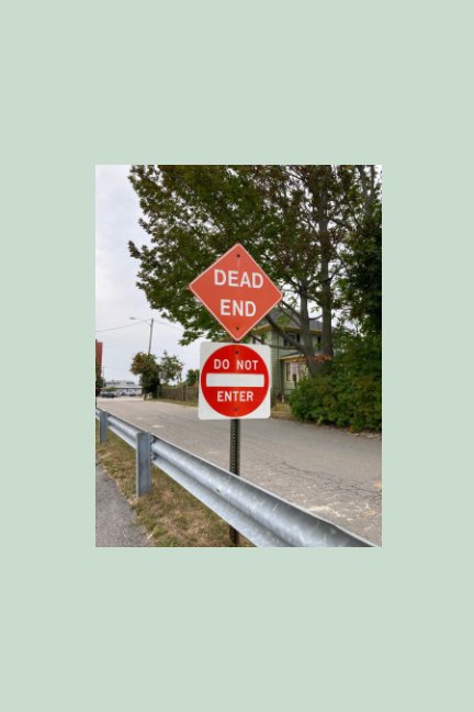 View dead end by Hannah Donovan
