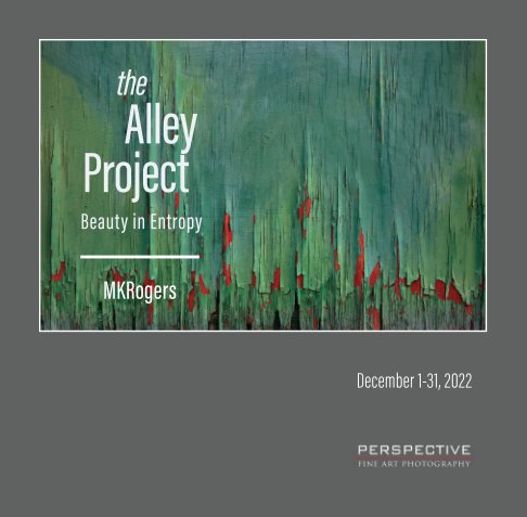 View The Alley Project: Beauty in Entropy by Monica Kass Rogers