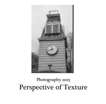 Perspective of Texture book cover