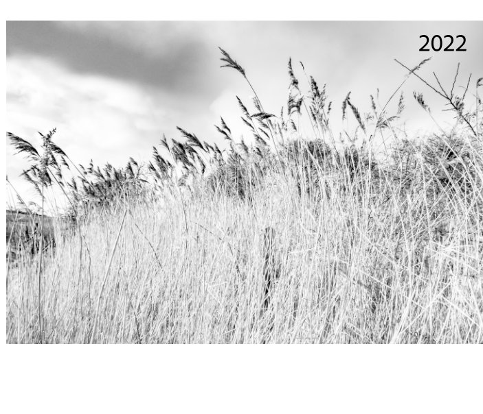 Visualizza B+W Landscape 2022 di StuartFphotography