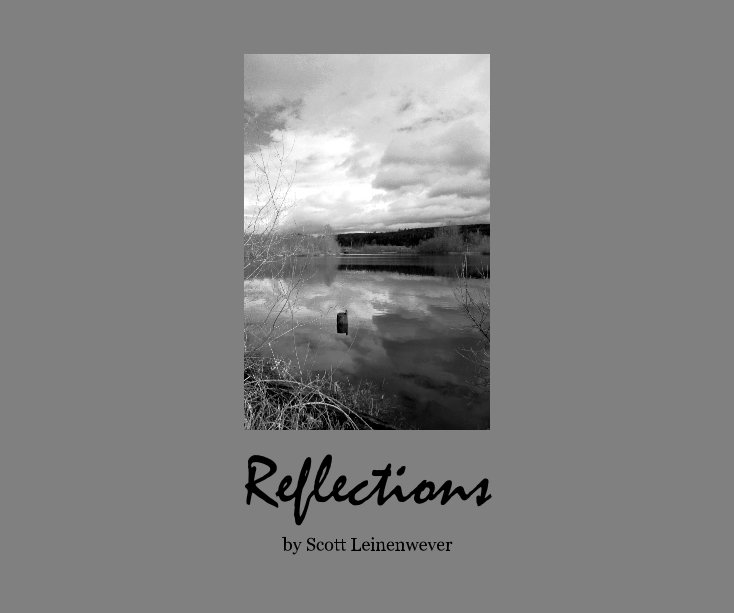 View Reflections by Scott Leinenwever