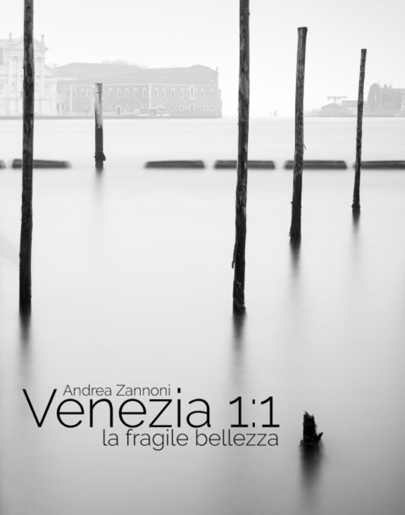 Visualizza Venezia 1:1 di Andrea Zannoni