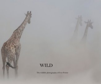 Wild book cover