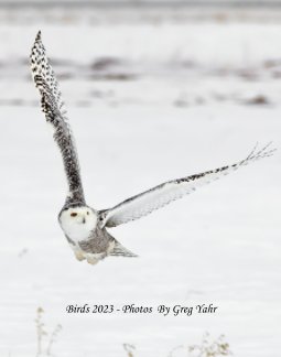 Birds 2023 a Photo Book by Greg Yahr book cover