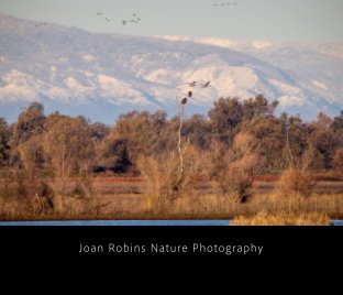 Joan Robins Nature Photography book cover