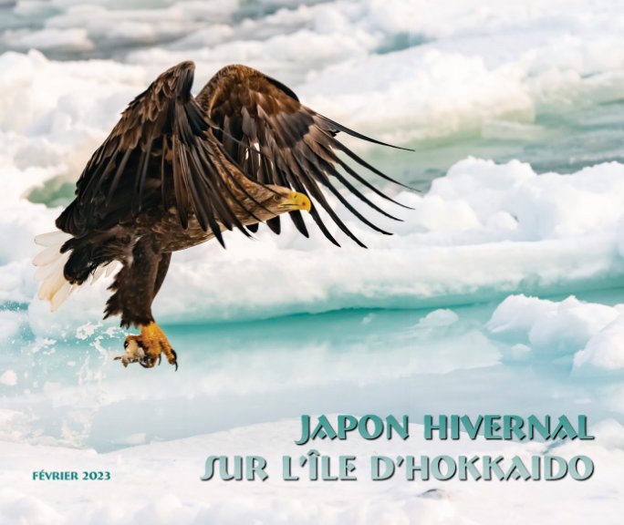 Visualizza Japon hivernal sur l’île d’Hokkaido di Jean-Michel CEAS
